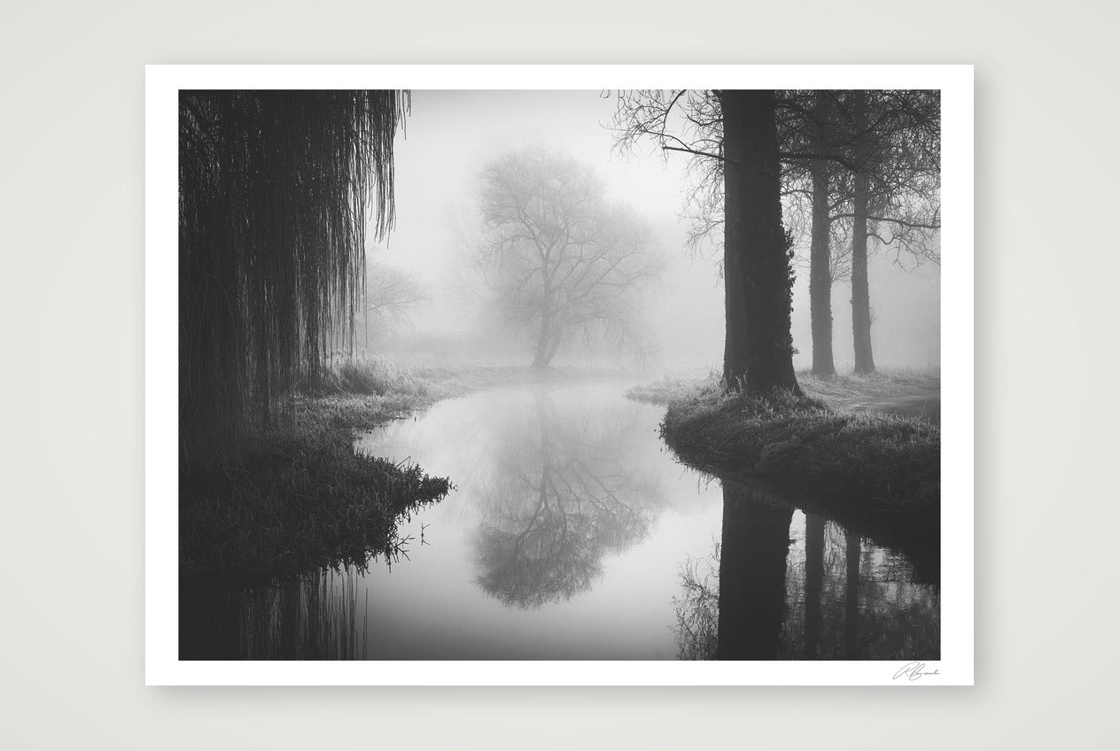 Timeless — 80×60cm, 31×24" Print only