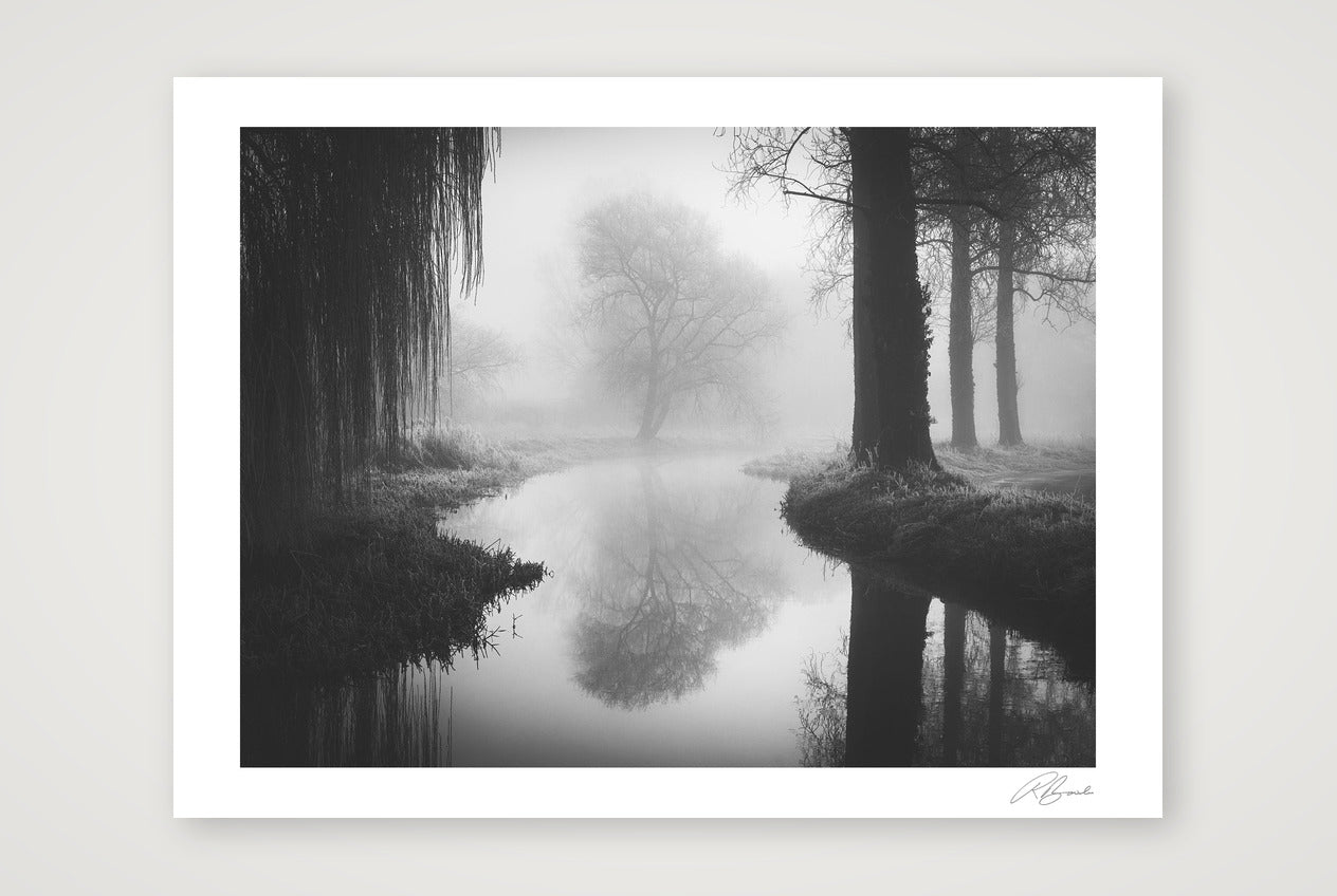 Timeless — 40×30cm, 16×12" Print only