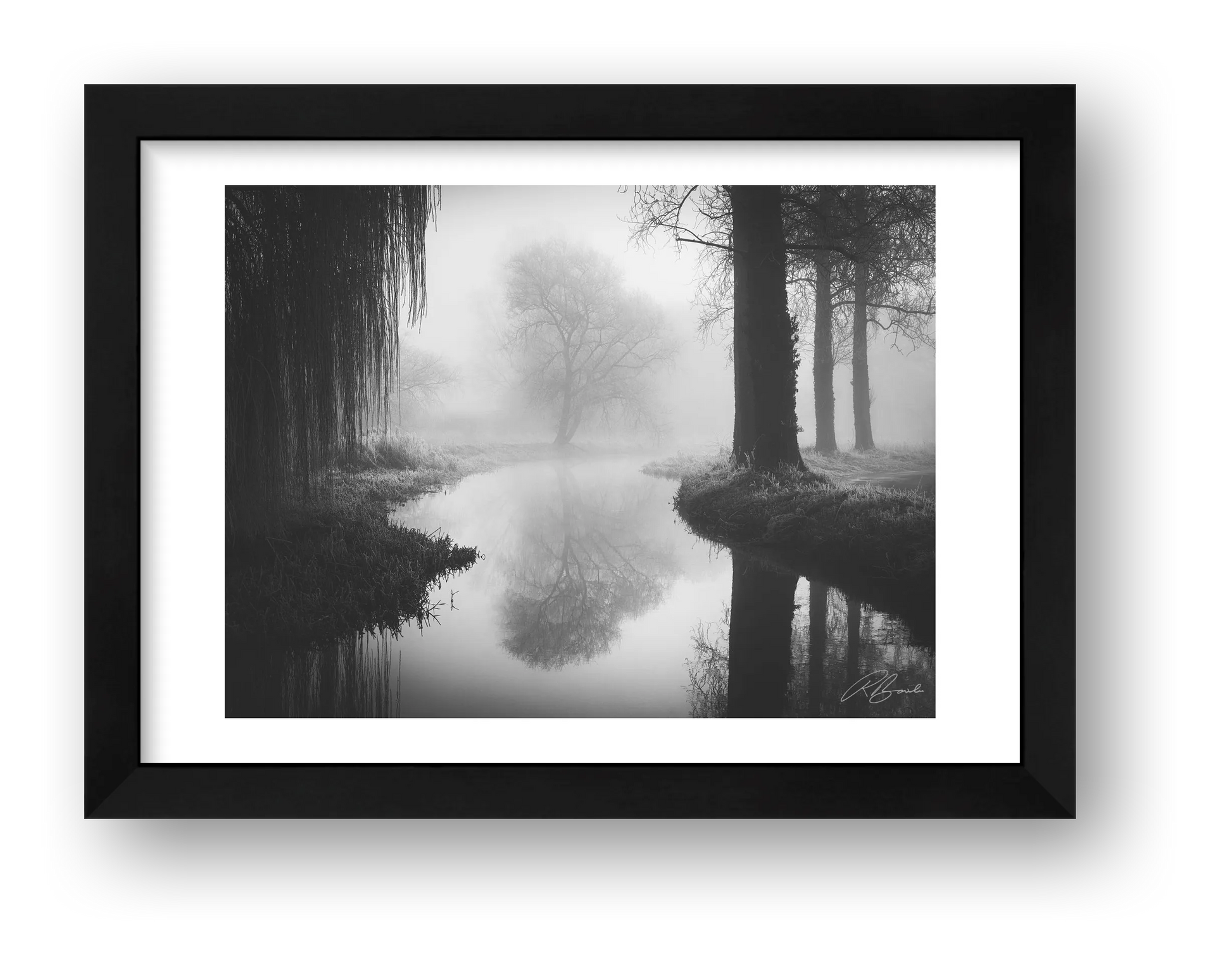 Timeless — framed