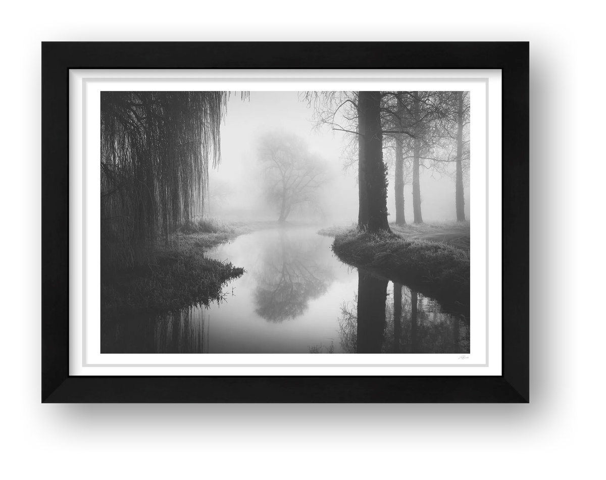 Timeless — framed