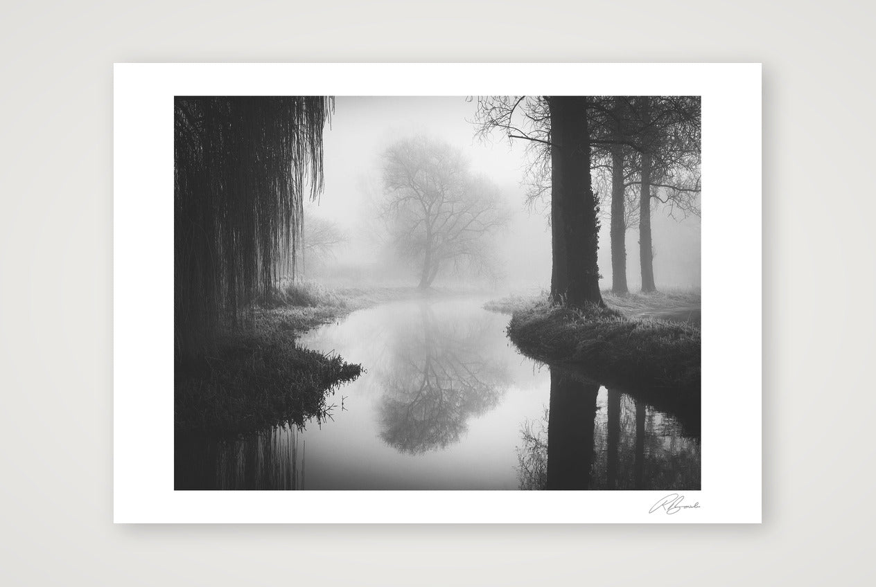 Timeless — 59×42cm, 23×17" Print only