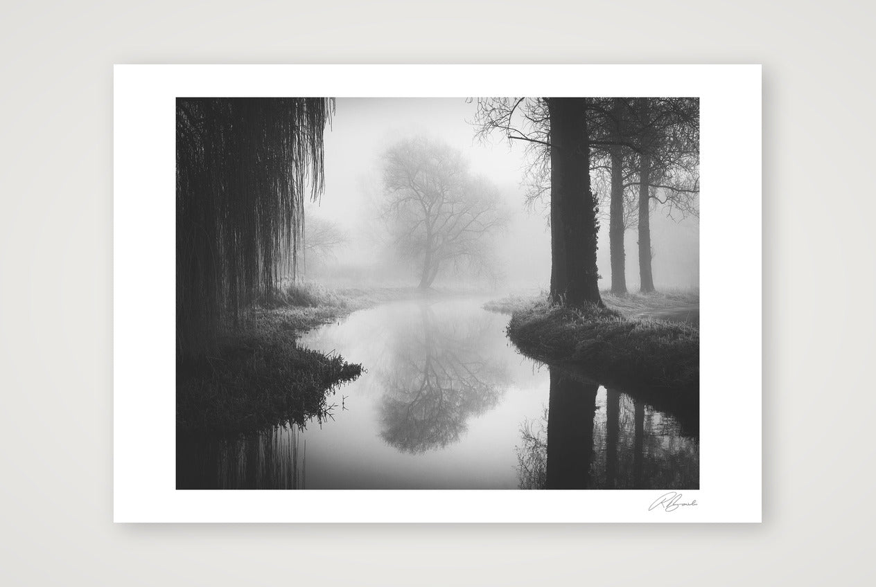 Timeless — A4 (30×21cm, 12×8") Print only